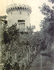 La tour de Beaulieu et sa vigne