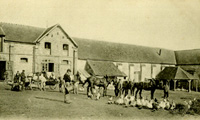 Chevaux, poules et personnel agricole/dans la cour de la ferme de Marolles