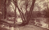 Le pont et un îlot de la Seine, vus de l'île