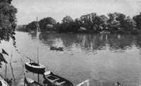 Diverses embarcations sur la Seine
