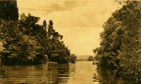 Le grand Bois, sur le petit bras de la Seine
