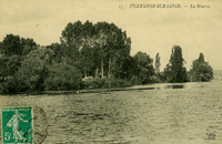 Partie boisée de l'île, appelée "La Réserve"
