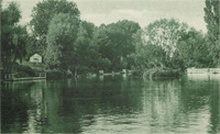 Un îlot sur la Seine