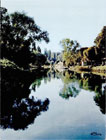 Reflets sur le petit bras de la Seine