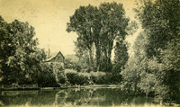 Petit bras de la Seine