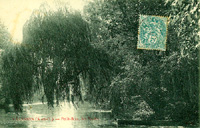 Les saules pleurant au dessus/du petit bras de la Seine