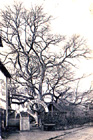 L'entrée de l'hôtel du Sophora, en hiver