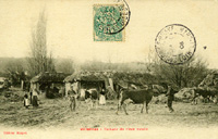 La ferme de l'île, appelée "La Vacherie"