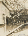 Le sophora et son hôtel restaurant/cernés par l'eau