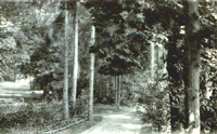 Le parc de l'hostellerie de la Nourrée
