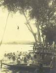 Plongeon dans la Seine à la plage de Villennes,/dans l'île du côté du grand bras