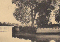 La pointe de l'île