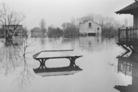 Crue de la Seine