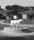 Le célèbre mouton de Villennes,/avec sa toison encore blanche
