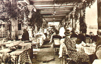 Déjeuner sous la pergola/du restaurant "La Pergola"