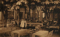 Une terrasse du restaurant "La Pergola"/sous les marronniers