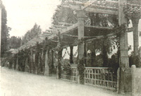 La pergola du restaurant "La Pergola"