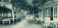 La terrasse du restaurant "Les Tilleuls"/(M. Paul, propriétaire et éditeur de la carte postale)