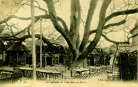 La terrasse du Sophora