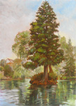 Ilot de la Seine