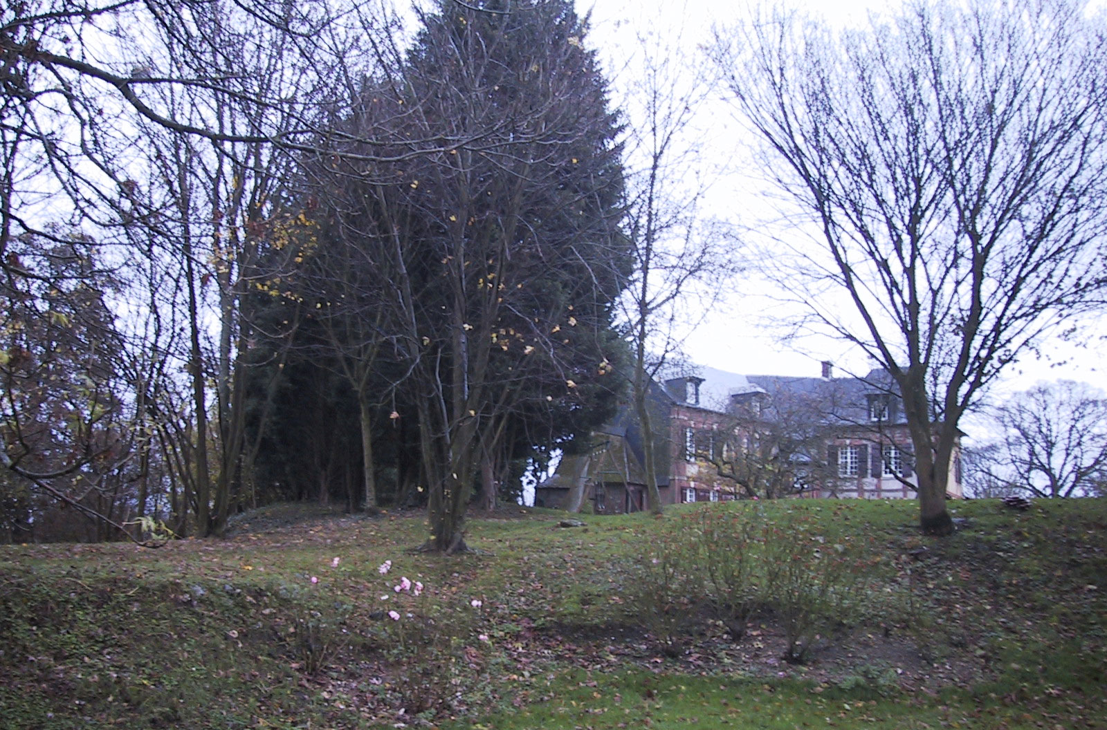 Motte féodale à Hacqueville