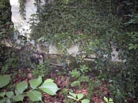 Soubassement des thermes