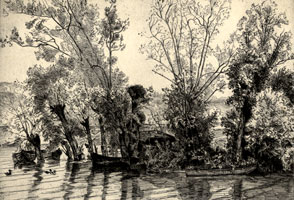 Eau-forte 'Les saules des Mottiaux' par Félix Bracquemond.