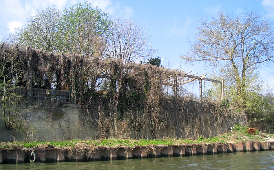 Vestiges de la pergola, vus de la Seine