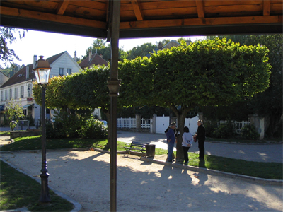 Tilleuls sur la place de la gare (Place de la Libération).