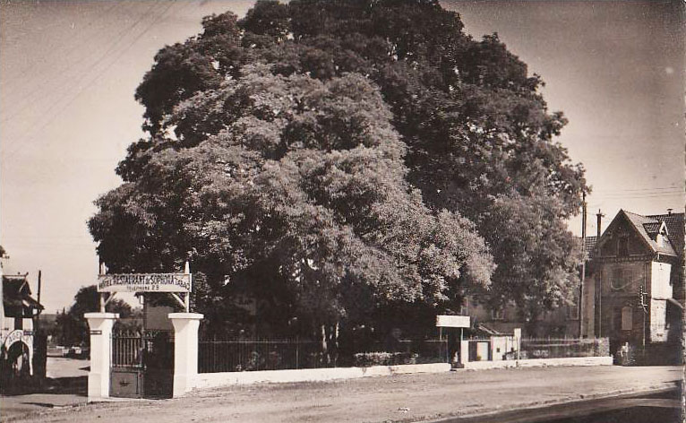 Entrée du Sophora en 1912