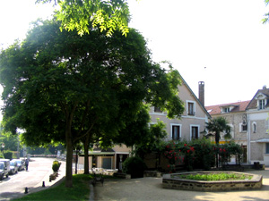 Place du Sophora aménagée