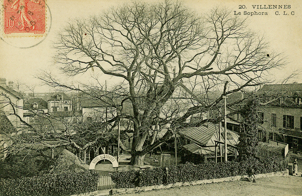 Le Sophora et le restaurant Au Cygne de Villennes