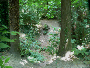 Entrée d'une ancienne carrière dans le bois du Bosquet.