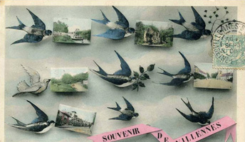 Carte postale avec des hirondelles.
