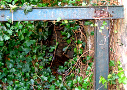 Vestige du passage souterrain de la villa de la Nourrée.