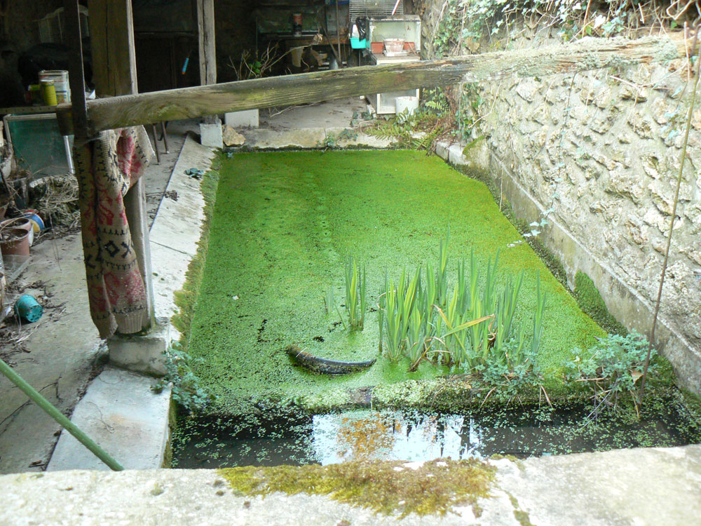 L'ancien lavoir de Breteuil