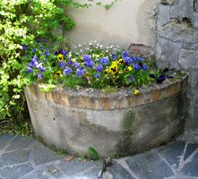 Le puits mitoyen