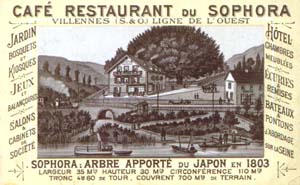 Publicité pour le Sophora