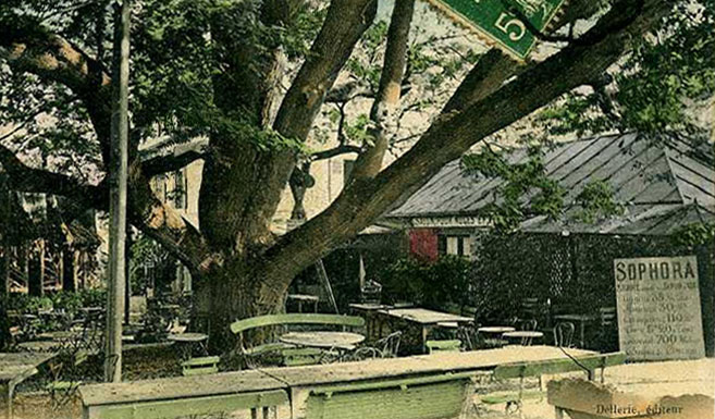 Salle de bal du restaurant Sophora