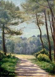 Tableau Buissons de genêts au cœur de la forêt des Landes